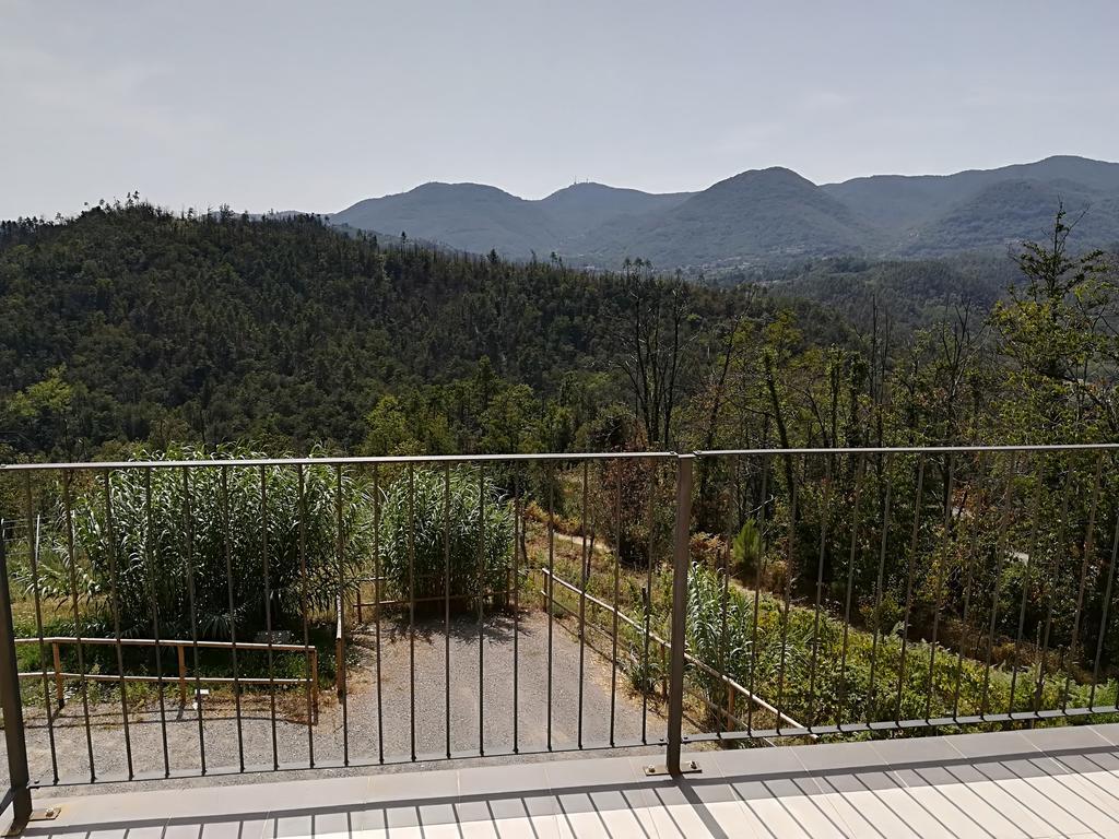 Villa I Gelsi E I Castagni Polverara Exterior foto